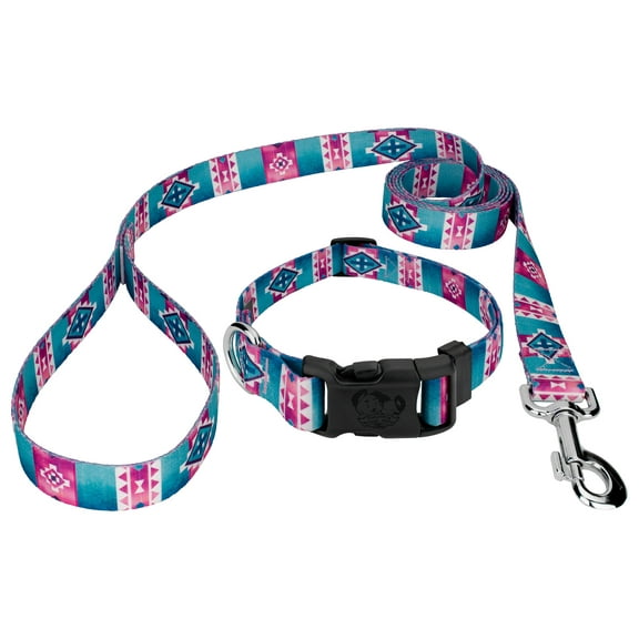 Country Brook Petz® Albuquerque Deluxe Dog Collar and Leash, Mini