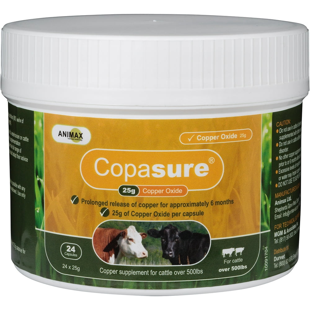 Copasure 25 g Copper Supplement Bolus for Cattle (over 500 lb box of 24