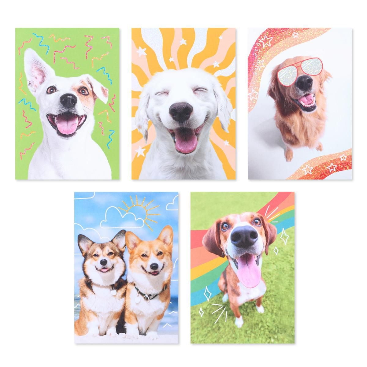 American Greetings 15-Count Blank Cards and Envelopes Assortment Box, Funny Dogs