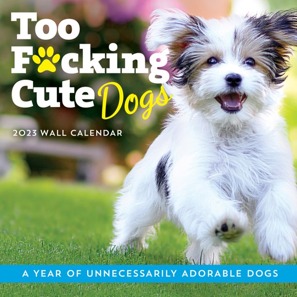 calendars-gifts-to-swear-by-2023-too-f-cking-cute-dogs-wall-calendar-a-year-of-unnecessarily-adorable-dogs-calendar-walmart-com