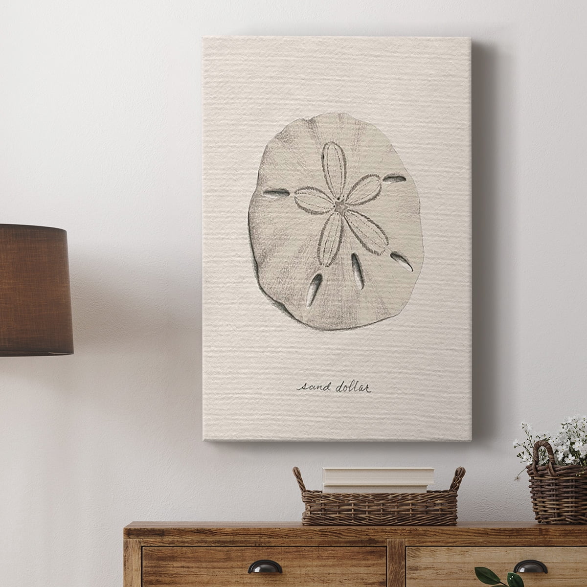 Shore Treasure Study III Premium Gallery Wrapped Canvas - Ready to Hang