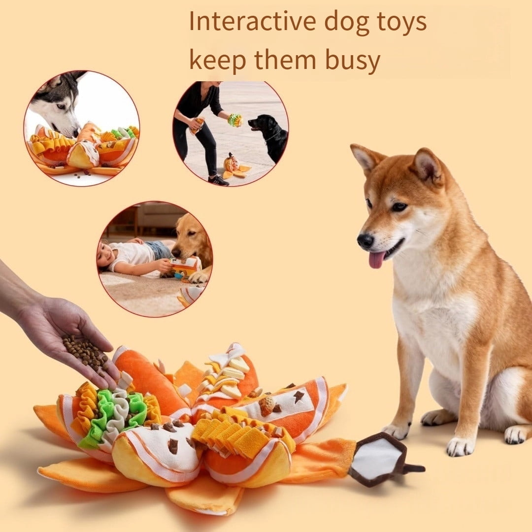 Interactive Puzzle Toy for Dogs, Slow Feeder & Plush Chew Toy with Squeaker, Mental Stimulation Toy for Small & Medium Dogs (Size/Colour as Pictured)
