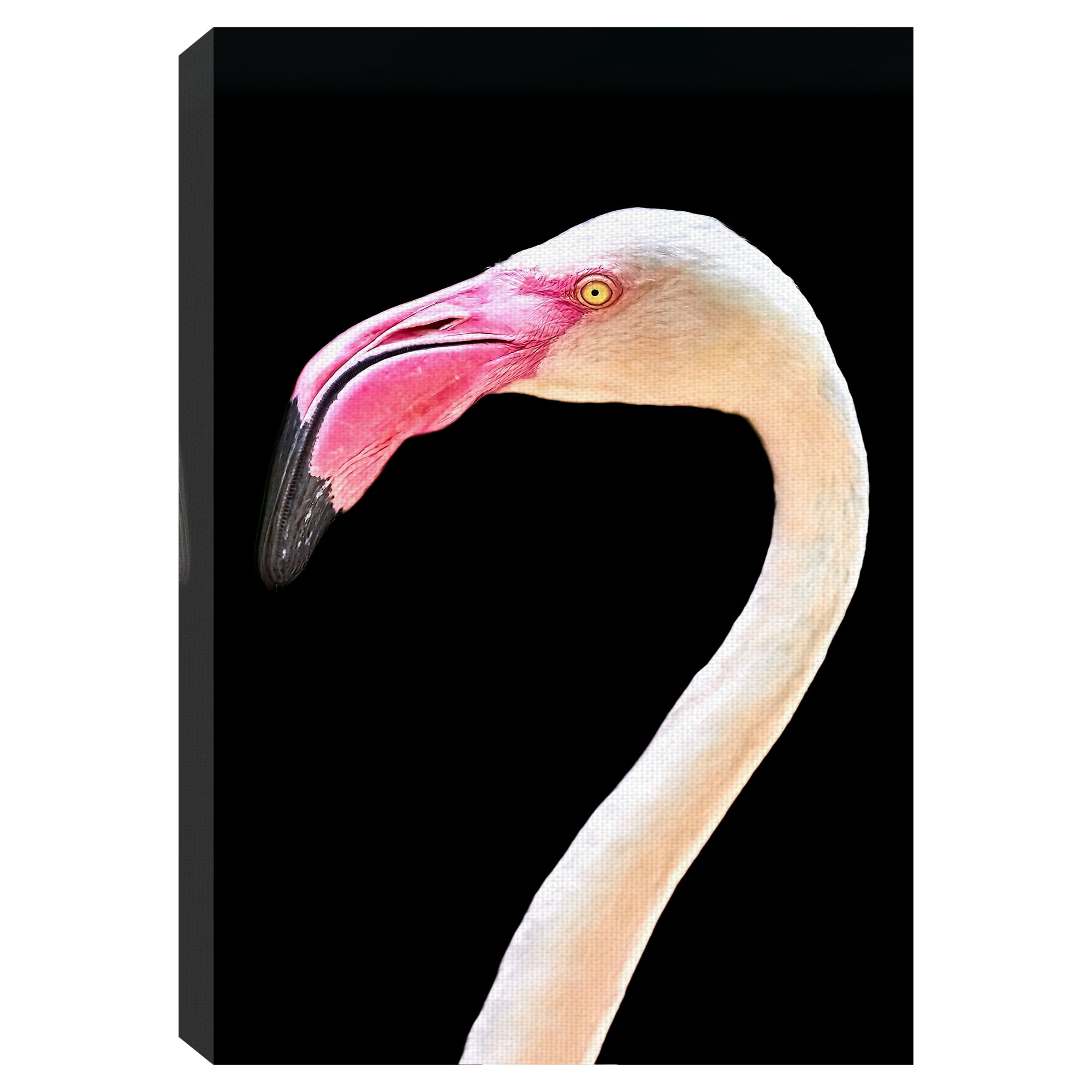 Masterpiece Art Gallery Flamingo Portrait By Mathew Schwartz Canvas Art Print 24" x 36"