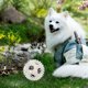 thumbnail image 5 of Juguete de pelota para entrenamiento de mascotas, mordedor para dientes, juguetes interactivos para la dentición de cachorros, chirriante para perros, 5 of 6