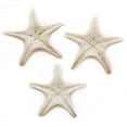 thumbnail image 3 of Set of 100 Tiny White Knobby Starfish for Beach Wedding Crafts and Decor 2-3 Inch.  Nautical Coastal Beach Cottage Decor, 3 of 3
