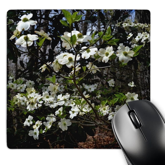 3dRose, Spring Welcoming Dogwood Blooms Spring Dogwood tree with blooms, MousePad