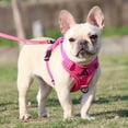 thumbnail image 2 of Harnais Réfléchissant pour Chien, Design Style Veste, Laisse Ajustable pour Chiot, Harnais de Poitrine pour Animal, Fournitures pour Animaux, Rose Rouge/TG, 2 of 9