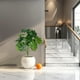 thumbnail image 5 of 30 Inch Simulation Plants Decorative Potted Plants Office Living Room Desktop Indoor Bonsais Ornaments Bionics Fake Flowers Greenerys Excluding Flower Pots, 5 of 6