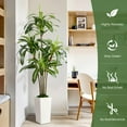 thumbnail image 5 of 6ft Artificial Dracaena Tree, Fake Tree Indoor with White Tall Planter, Artificial Silk Plants for Home Office Decor, 5 of 7