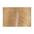 thumbnail image 3 of Revlon Root Erase Permanent Hair Color, At Home Touchup Dye with Applicator Brush for Multiple Use, 100% Gray Coverage, 8 Medium Blonde, 3.2 fl oz, 3 of 5