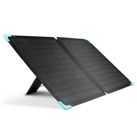 Renogy 120 Watt Foldable Solar Panel, Adjustable Kickstand & Integrated Carry Handles for Road Trip, Camping, RV, and Fishing
