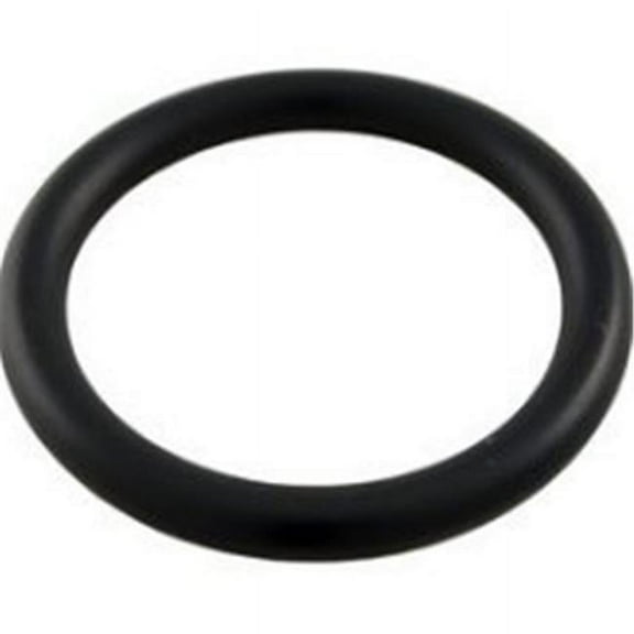 Pentair Drain Plug O-Ring Replacement | 51005000Z