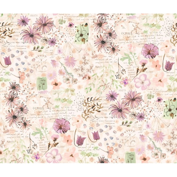 Blooming Lovely - Petal - Moda