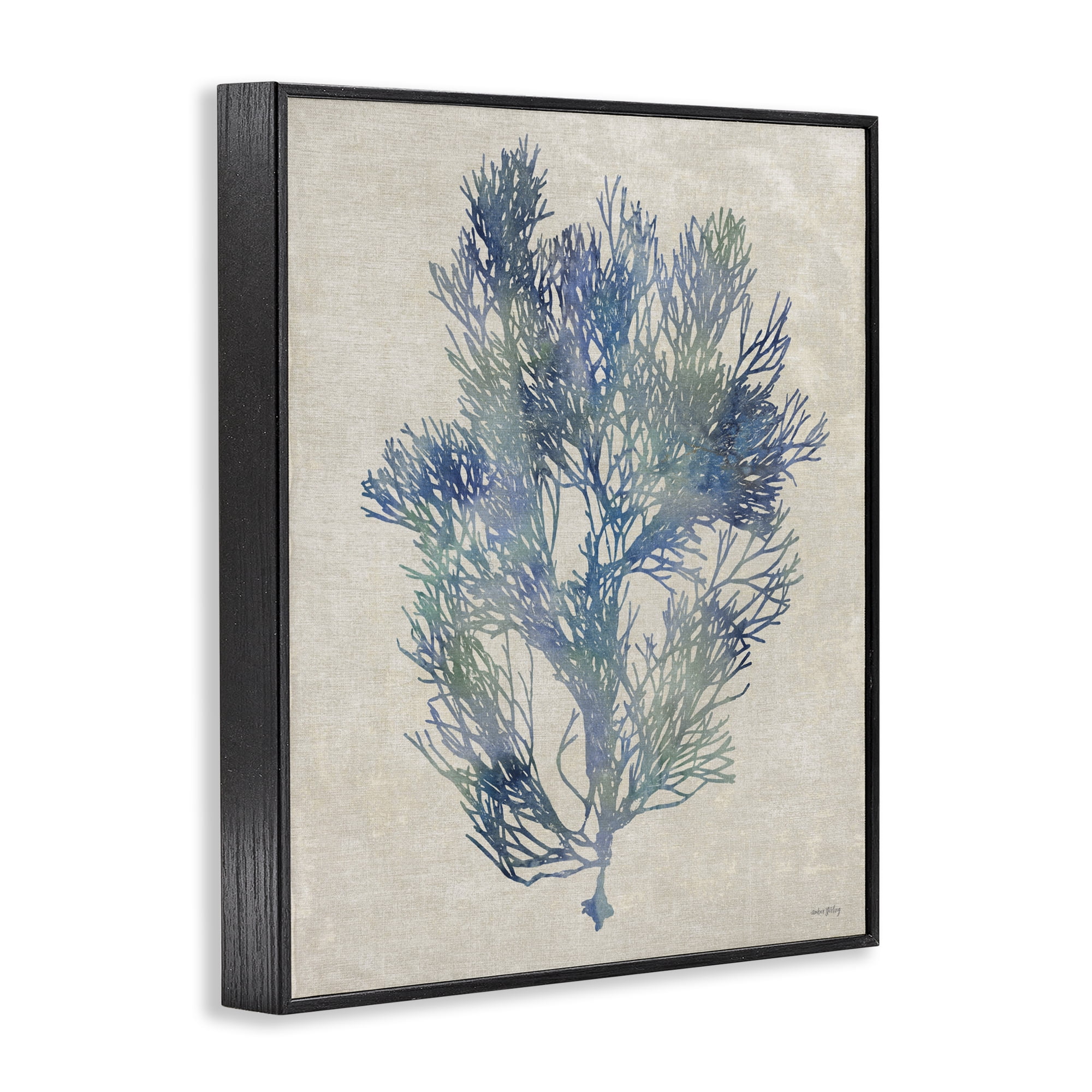 Stupell Industries Misty Blue Coral Study Black Framed Giclee Art, design by Amber Sterling