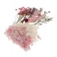 thumbnail image 4 of 2xnatural Hojas Secas Reales Prensadas Flores Para Manualidades De Arte Ves Zulema hojas secas naturales flores, 4 of 8