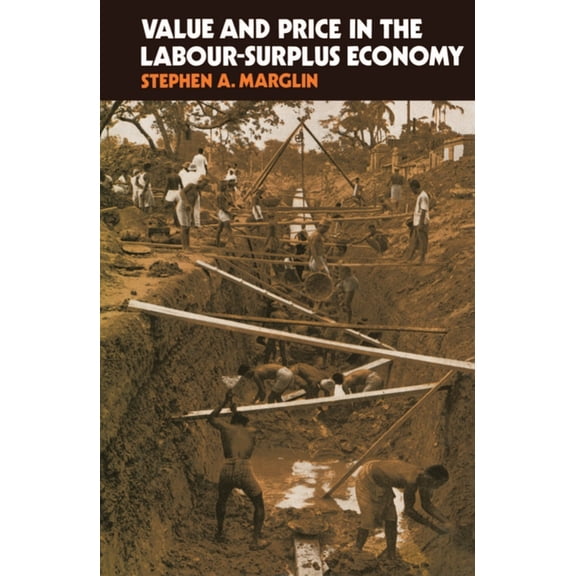 Value & Price in the Labour Surplus Economy, (Hardcover)