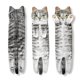 thumbnail image 2 of Toallas de mano AGRIMONY Cat Funny Decorativas Superabsorbentes, 2 of 7