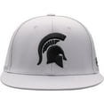 thumbnail image 2 of Men's Top of the World Gray Michigan State Spartans Fitted Hat, 2 of 4