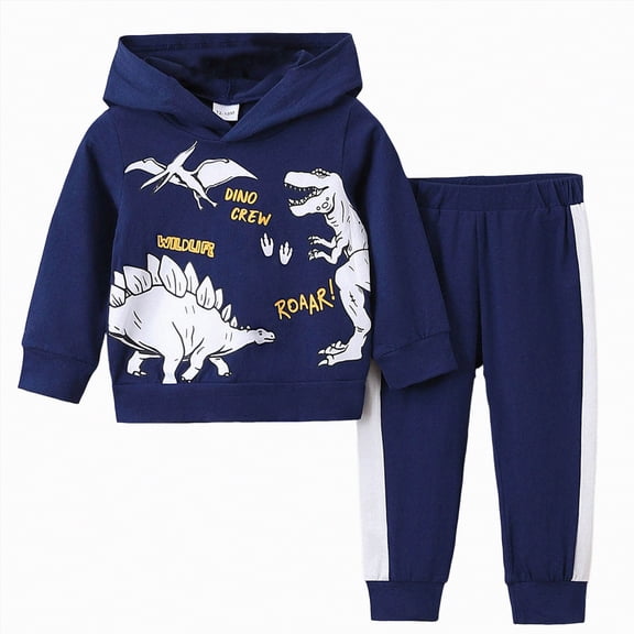 HCNTES Boys Comfortable and Warm Dinosaur Letter Print Long Sleeved Hoodie Pants Casual Two Piece Set,Sizes 2-3 Years