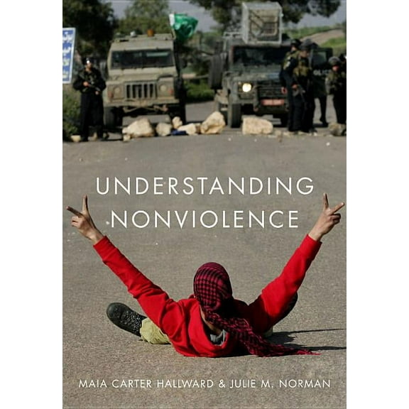 Understanding Nonviolence (Paperback)