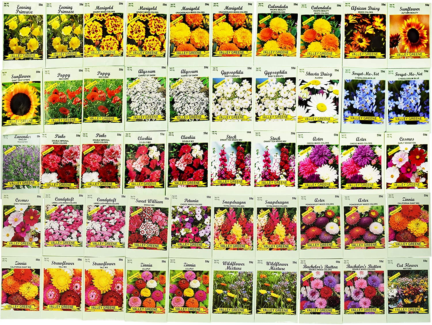 25 Deluxe Varieties! Flower Seeds in Bulk Set of 25 Premium Selection Flower Seed Packets 