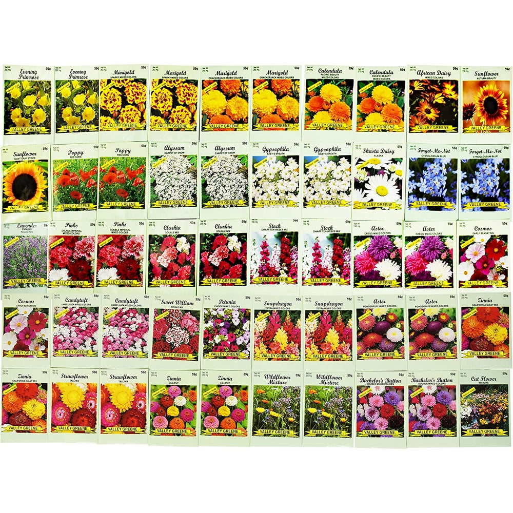 Set of 50 Assorted Flower Seed Packets! Flower Seeds in Bulk 20