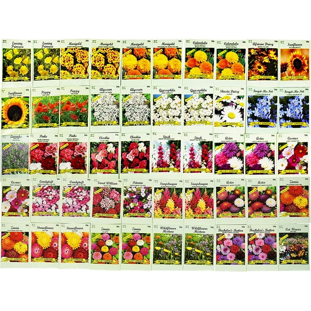 Set Of 50 Assorted Flower Seed Packets Flower Seeds In Bulk 20 Varieties Available Walmart Com Walmart Com