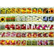 Set of 50 Assorted Flower Seed Packets! Flower Seeds in Bulk - 20  Varieties Available!
