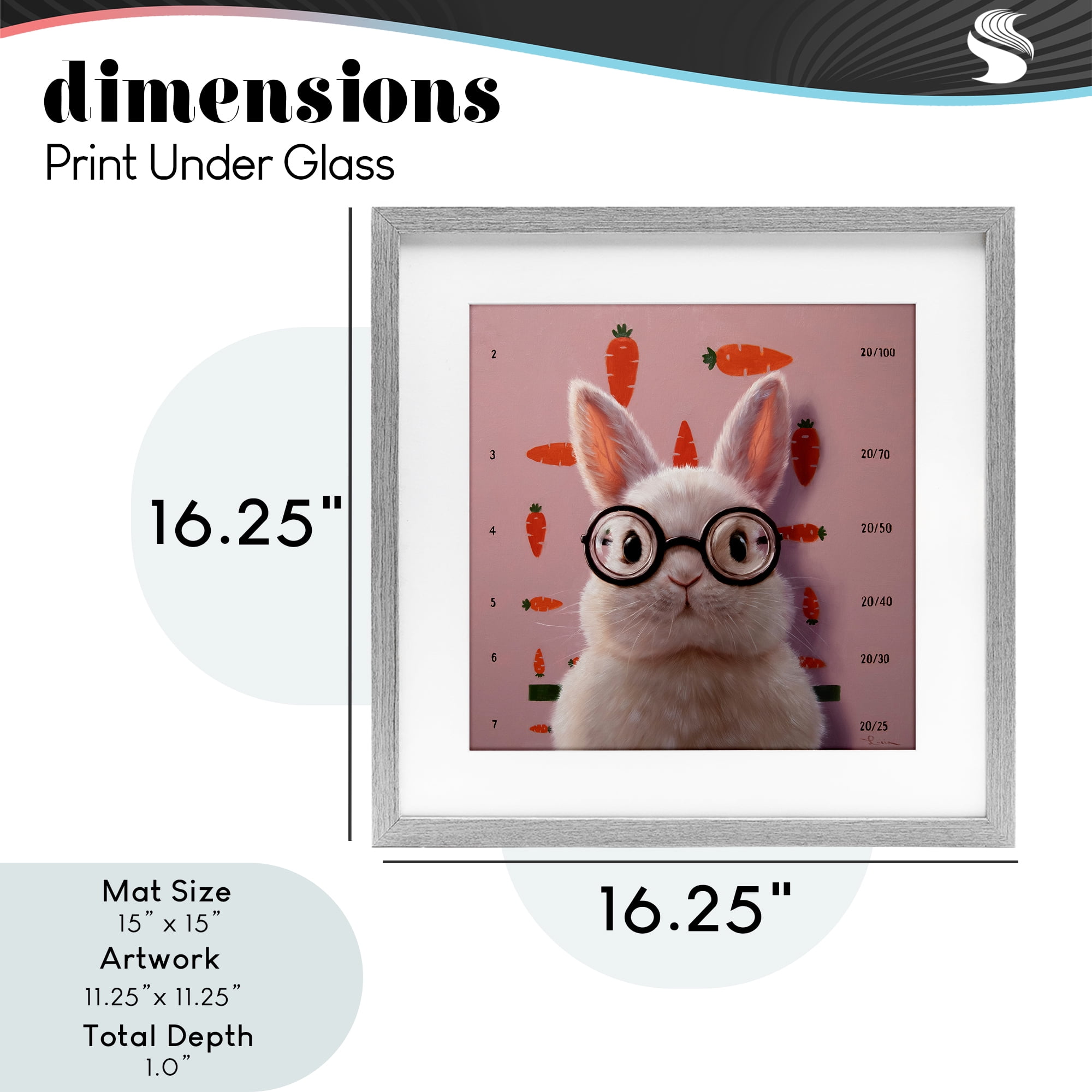 Bunny & Carrots Eye Exam Gray Framed Print Under Glass, design by Lucia Heffernan