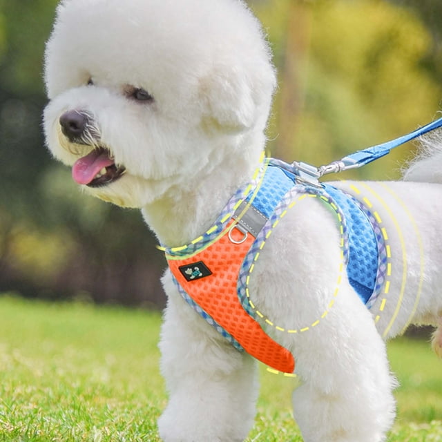 No Pull Dog Harness and Leash Set for Secure Walking Running and Training Comfort
