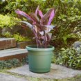 thumbnail image 4 of Southern Patio Rolled Rim Poly-Resin Planter Pot, 4 of 11