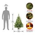 thumbnail image 5 of National Tree Company Pre-Lit Artificial Mini Christmas Tree, Green, Kincaid Spruce, Clear Lights, Includes Stand, 4 Feet, 5 of 5