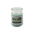 thumbnail image 1 of 18 Oz Tropical Rain Scented Jar Candle with Glass Lid – Fresh Rain, Green Leaves & Light Florals, 1 of 2