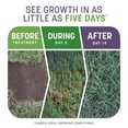 thumbnail image 4 of Pennington Smart Patch Seed Fertilizer Mulch Repair Kit, Full Shade, 4 of 8