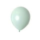thumbnail image 1 of Globos de látex de 10 pulgadas y 2,2g, globos de caramelo de color macarrón, decoración de fiesta Wmkox8yii fhajkh2985, 1 of 1