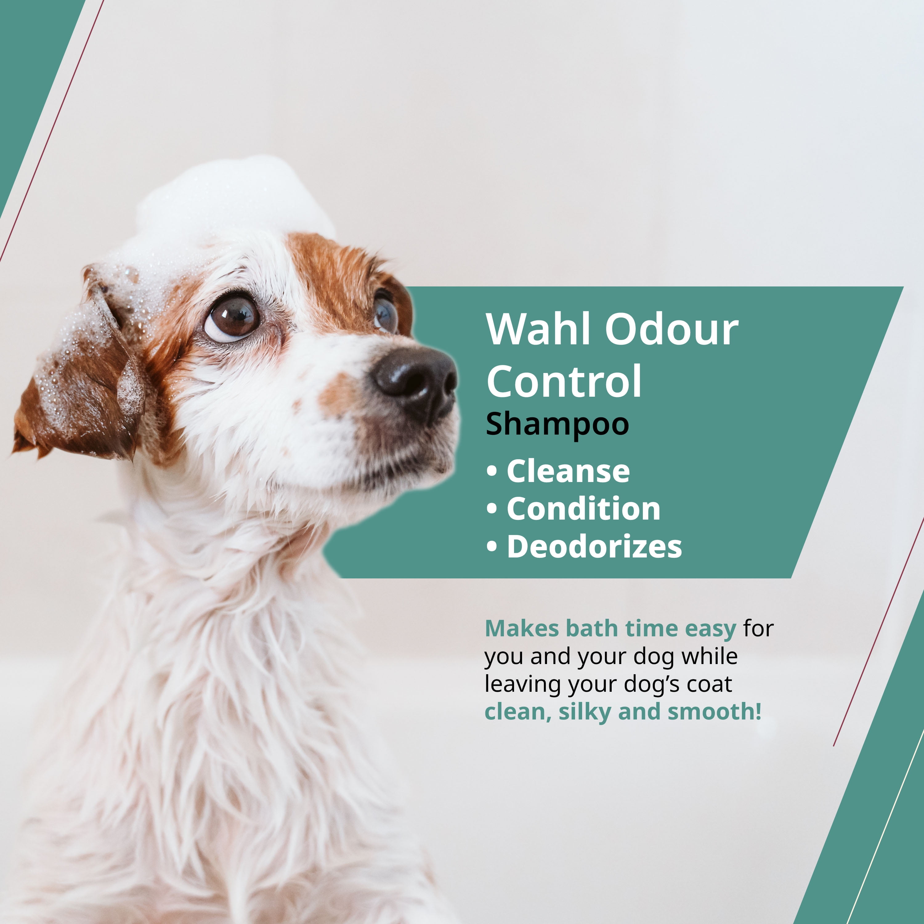 Shampooing désodorisant pour chiens Wahl - 700ml Rafraîchit et désodorise
