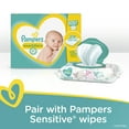 Pampers Swaddlers Newborn Diapers Size N 31 Count