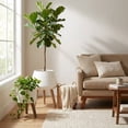 thumbnail image 3 of Flora Bunda CTF1630E2-WH 18'W & 10' Dumpling Fiberglass Pot on Stand,White,Set of 2, 3 of 5