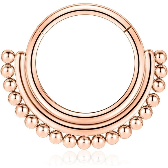 FFIY Septum Jewelry 16G Septum Ring Septum Piercing Unique Design Daith Piercing Jewelry 316L Surgical Steel Clicker HOPP Segment Hinged Nose Rings Hoop Cartlidge Helix Rook Earrings