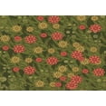 thumbnail image 1 of Ahgly Company Machine Washable Indoor Rectangle Transitional Dark Bronze Brown Area Rugs, 2' x 3', 1 of 7