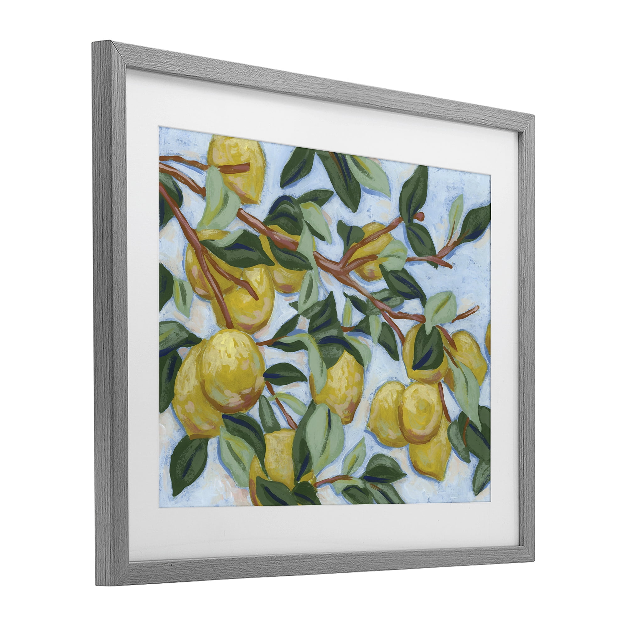 Stupell Industries Sunshine Citrus Tree Gray Framed Print Under Glass, design by June Erica Vess