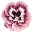 thumbnail image 2 of Nourison Petals Pink Area Rug, 2 of 2
