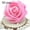 Hot Pink, variant on Farfi 50Pcs Artificial Flowers Wedding Bride Bouquet Party Decor Foam Rose Heads (Champagne)