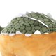 thumbnail image 5 of Juguete de dinosaurio suave ANGGREK Figura de peluche, 5 of 7