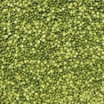 thumbnail image 1 of Lentilles Vertes Laird 1, 1 of 1