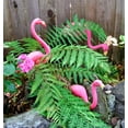 thumbnail image 3 of GiftExpress Set of 4, Small Pink Flamingo Yard Ornament/Mini Lawn Flamingo Ornaments/Pink Flamingo Garden Yard Decor (4), 3 of 6