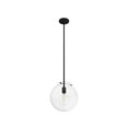 thumbnail image 5 of Hunter - Sacha 1-light Natural Black Iron, Medium Size Pendant Light, Dimmable, Modern Style, Globe Shaped, for Bedrooms, Dining, Living Rooms - 19660, 5 of 8
