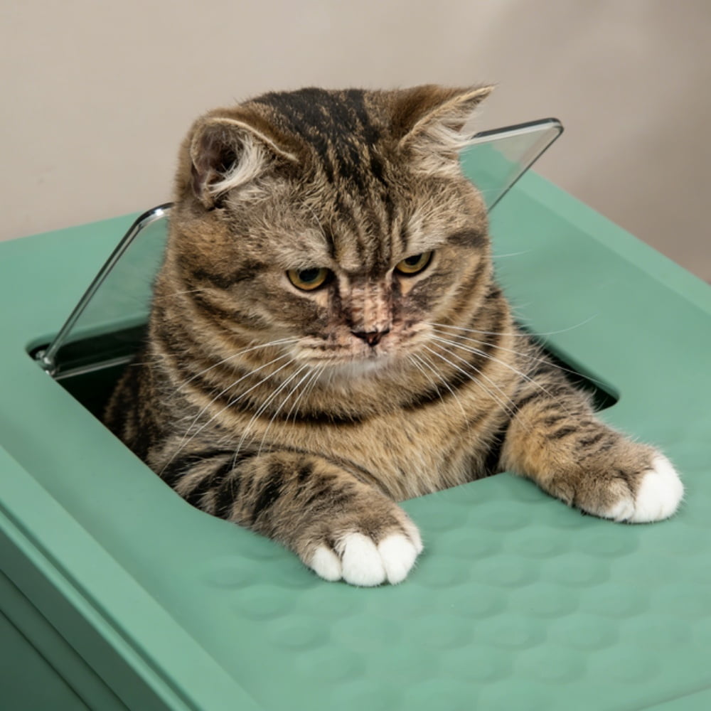 Stainless Steel Enclosed Cat Litter Box, Large Durable Pet Toilet with Enclosure for Cats  LJH