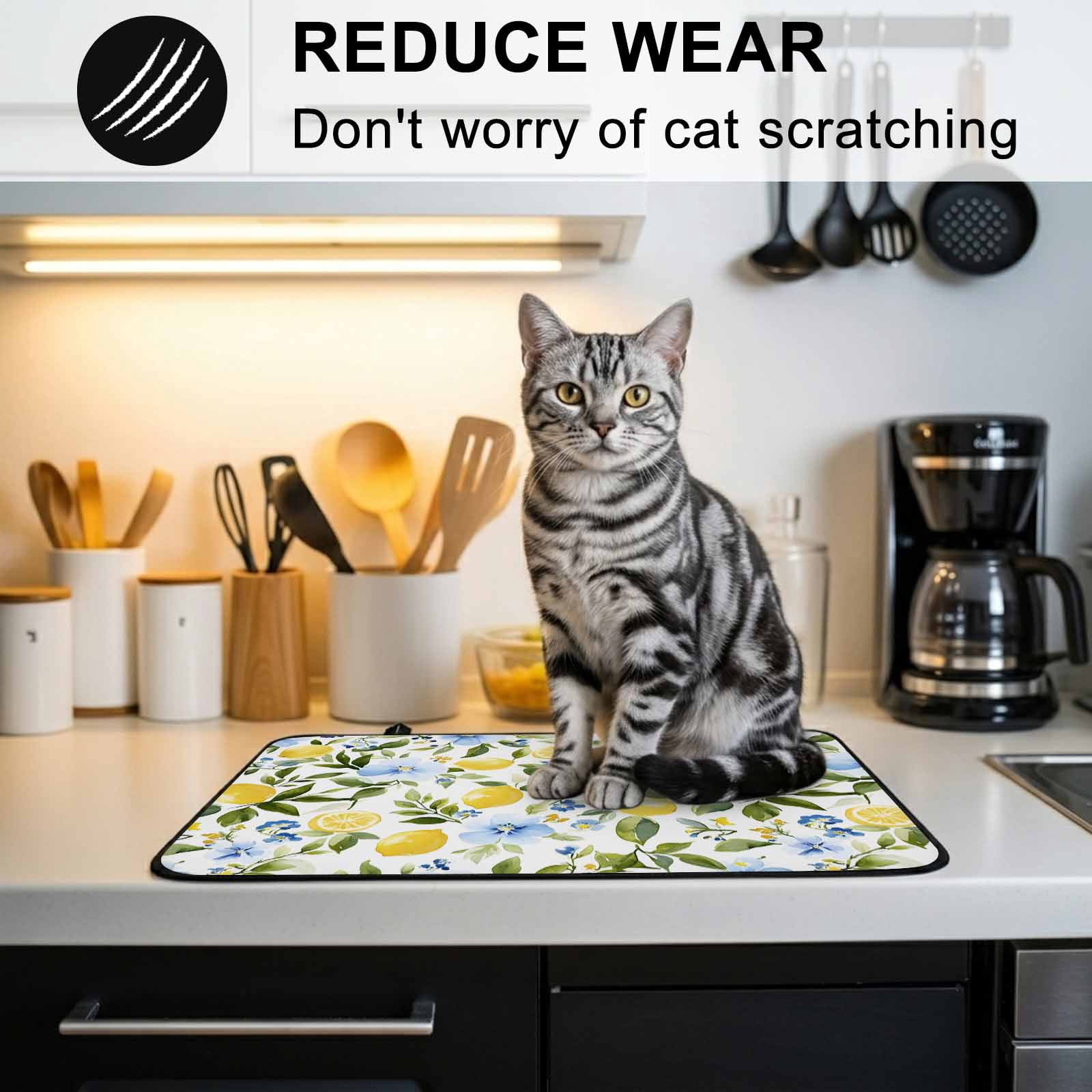 Eucalyptus Lemon Stove Top Cover for Electric Stove, Heat-proof & Non Slip Glass Top Stove Cover Protector, Sage Green Leaf Blue Flower Fruit Kitchen Flat Cooktop Rubber Mat 24x21 Inches