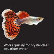 Aquarian By API Cloudy Water Fix 8 oz. Bottle